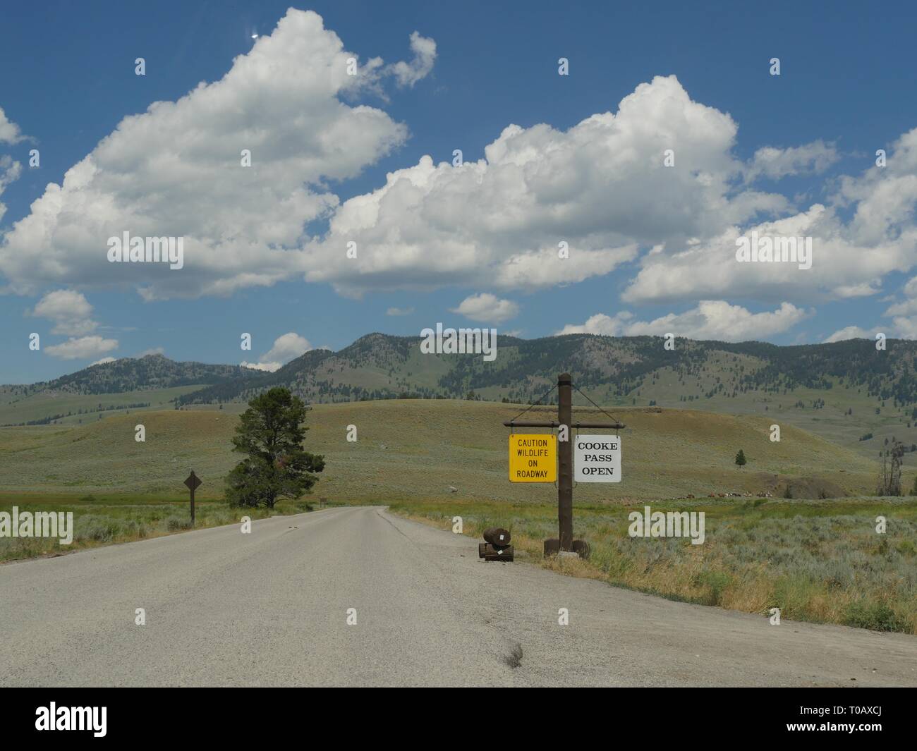 Vue panoramique sur un panneau en bord de route au col de Cooke et attention à la faune sur la route au parc national de Yellowstone. Banque D'Images