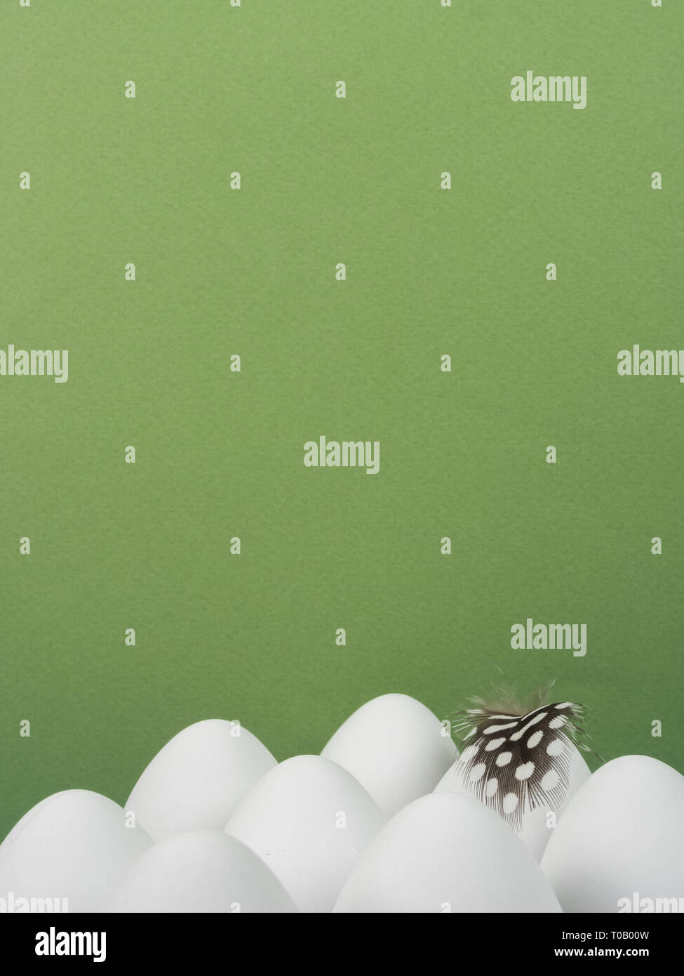 Arrière-plan blanc de Pâques avec les oeufs de Pâques et une plume isolé sur green Banque D'Images