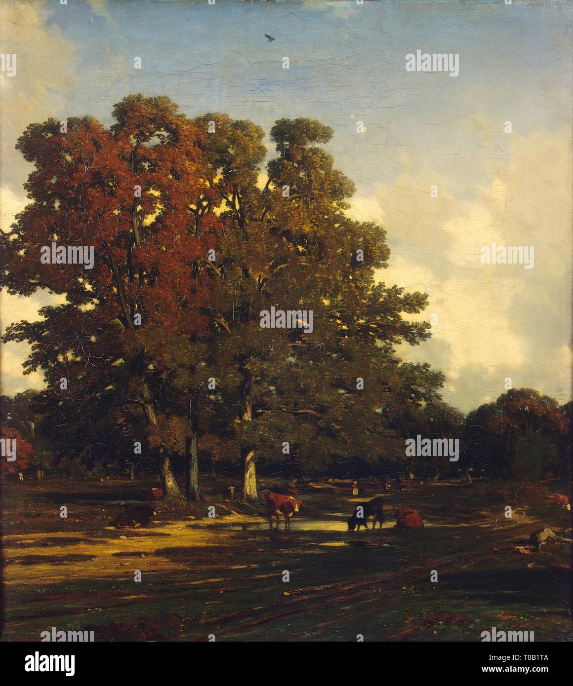 Automne 'Paysage'. La France, entre 1840 et 1850. Dimensions : 51x46 cm. Musée : Etat de l'Ermitage, Saint-Pétersbourg. Auteur : Jules Dupre. Banque D'Images