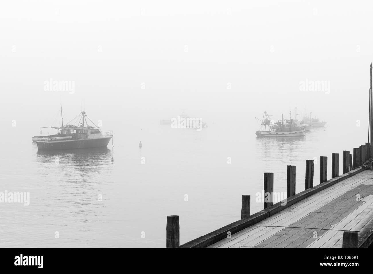 Des bateaux de pêche à l'ancre dans le port et de brume à Moeraki en île du Sud. Banque D'Images