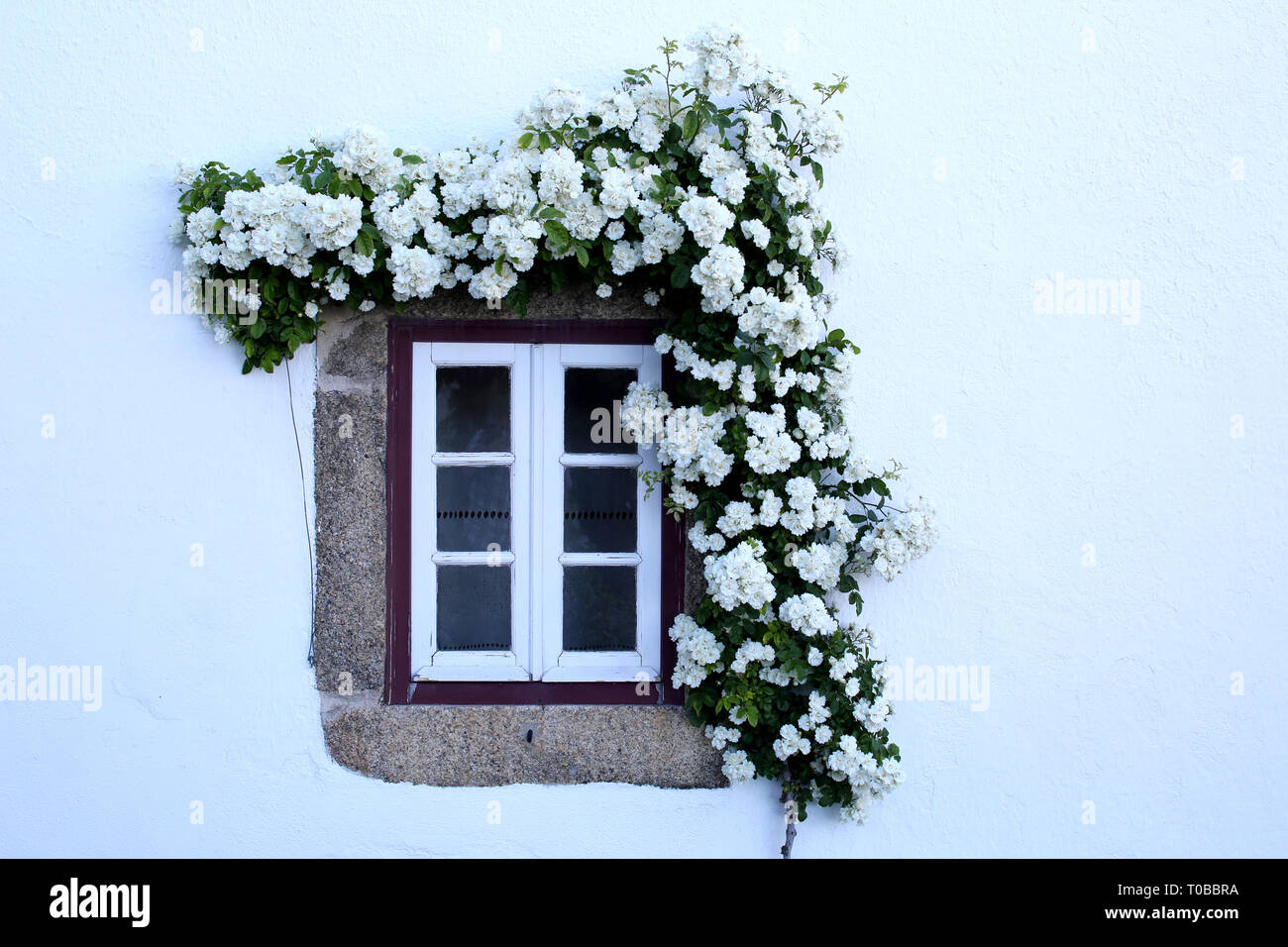 Une fenêtre pittoresque entouré par des fleurs à Marvão, Portugal Banque D'Images