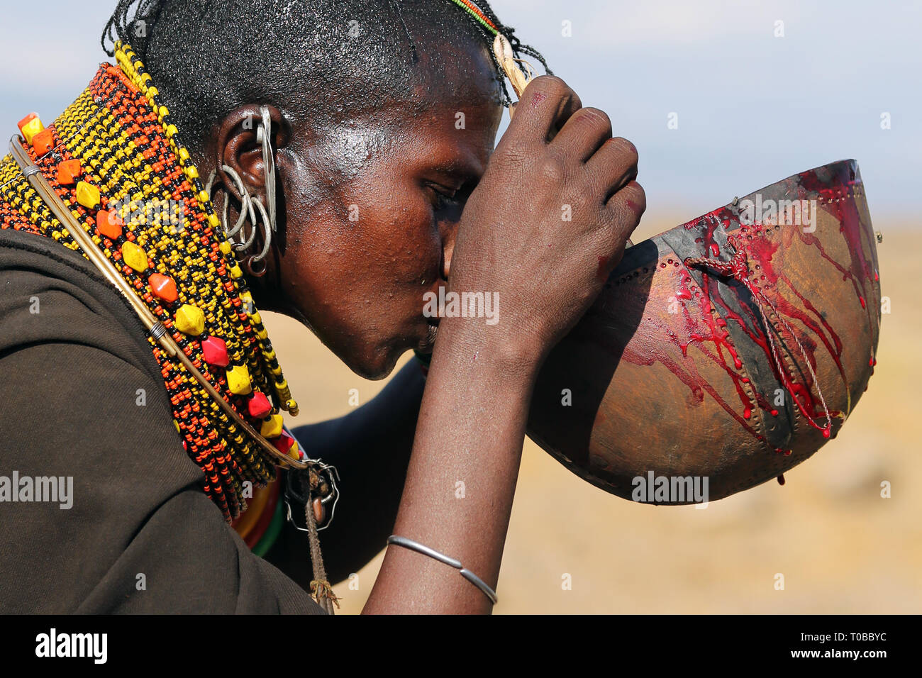 Une femme Turkana du sang de chèvre potable près du lac Turkana, Kenya Banque D'Images