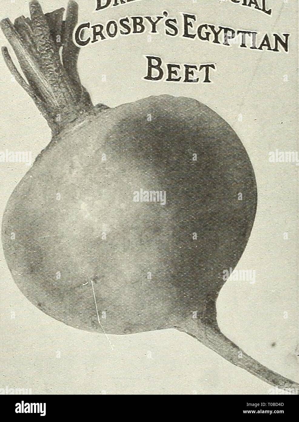 Fth Banque D Image Et Photos Alamy