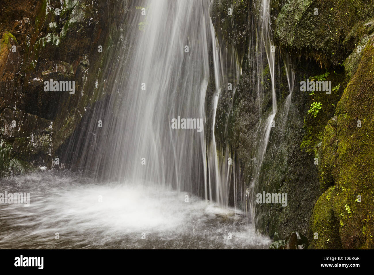 L'eau en cascade dans une cascade de Speke's Mill bouche, Hartland Quay, North Devon, Grande Bretagne. Banque D'Images