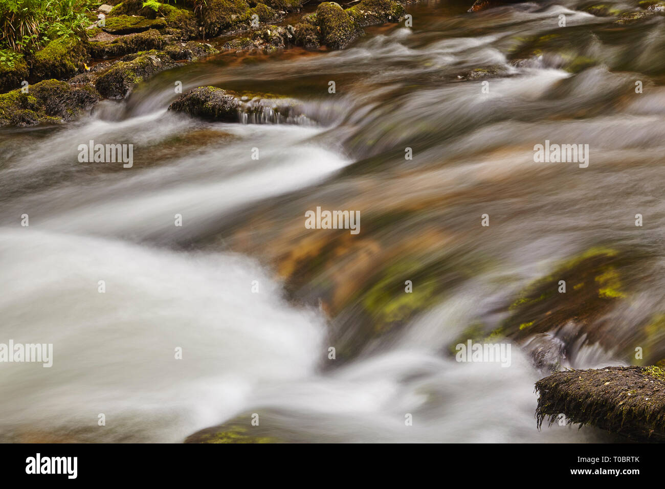 Close-up de l'écoulement de l'eau autour et sur les roches dans un cours d'eau forestiers ; East Lyn, Watersmeet, près de Lynmouth, Exmoor National Park, Devon, UK. Banque D'Images