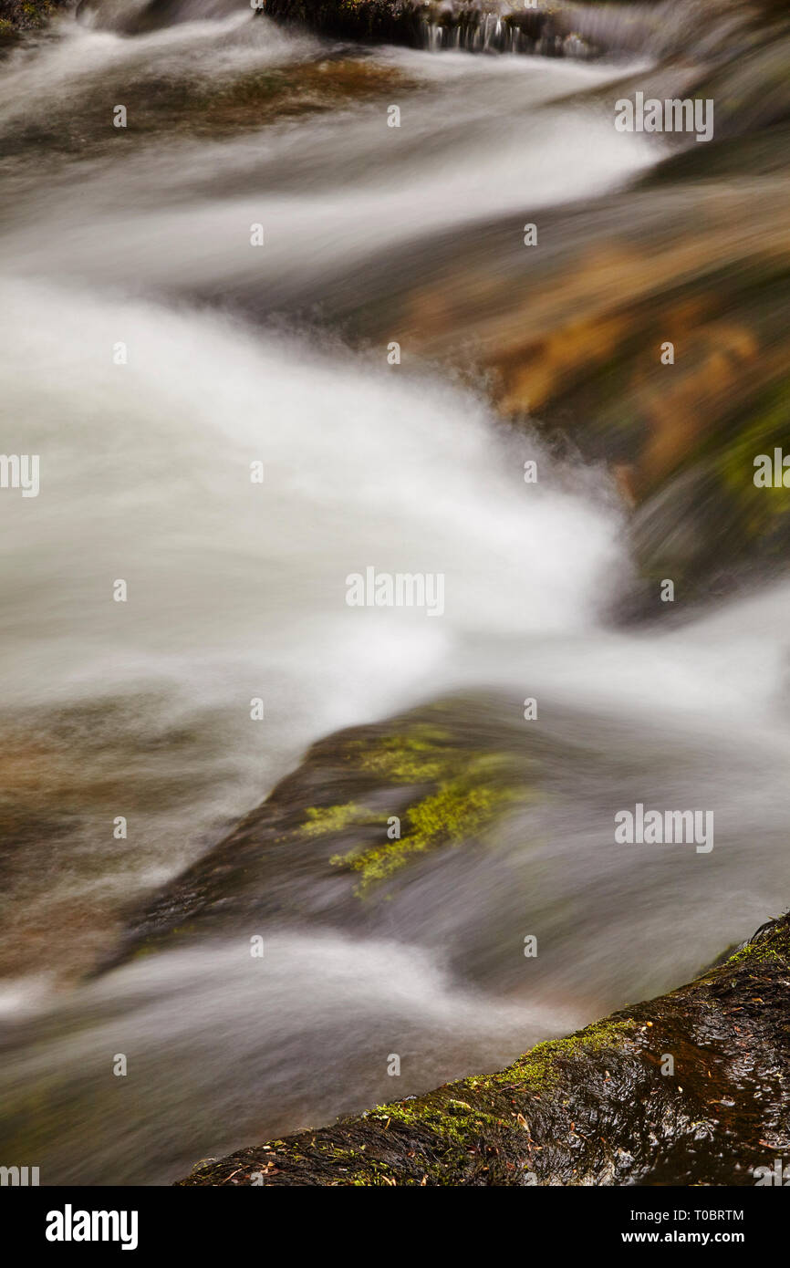 Close-up de l'écoulement de l'eau autour et sur les roches dans un cours d'eau forestiers ; East Lyn, Watersmeet, près de Lynmouth, Exmoor National Park, Devon, UK. Banque D'Images