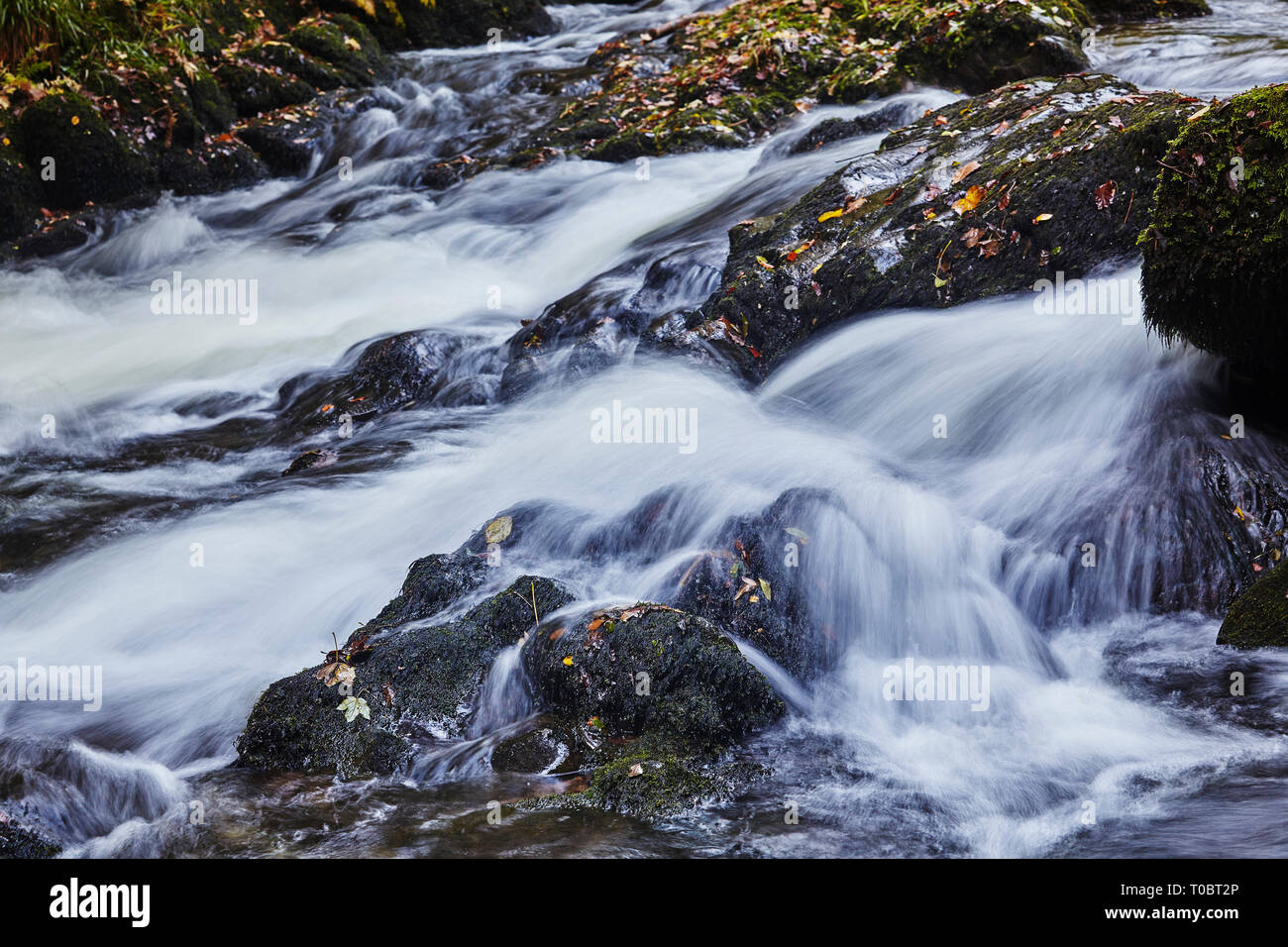 Close-up de l'écoulement de l'eau autour et sur les roches dans un cours d'eau forestiers ; East Lyn, Watersmeet, près de Lynmouth, Exmoor National Park, Devon, UK. Banque D'Images