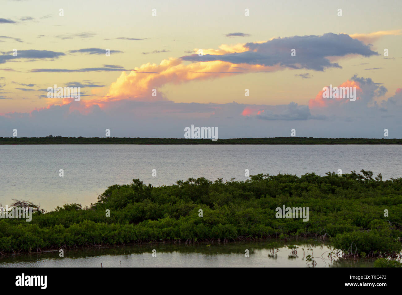 Le soleil qui se reflète sur thunderheads bâtir sur les mangroves au nord de San Pedro, Ambergris Caye, Belize. Banque D'Images