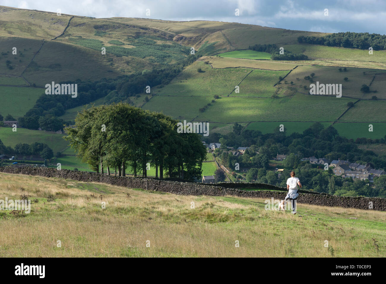 Coureuse avec chien dans les collines au-dessus de foin, Derbyshire, Angleterre. Banque D'Images