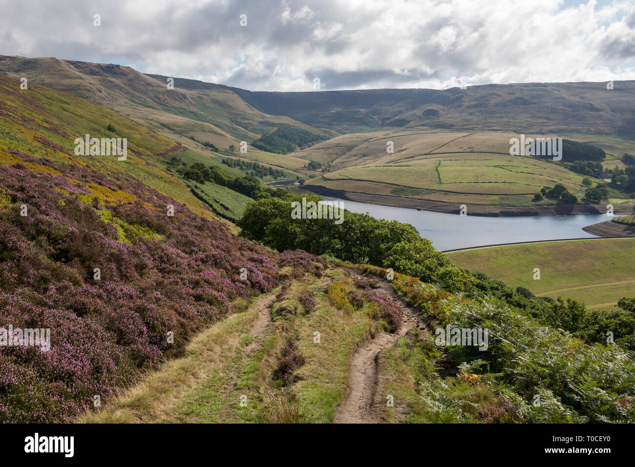 Une journée ensoleillée au-dessus du réservoir de Kinder près de Hayfield dans le parc national de Peak District, Derbyshire, Angleterre. Banque D'Images