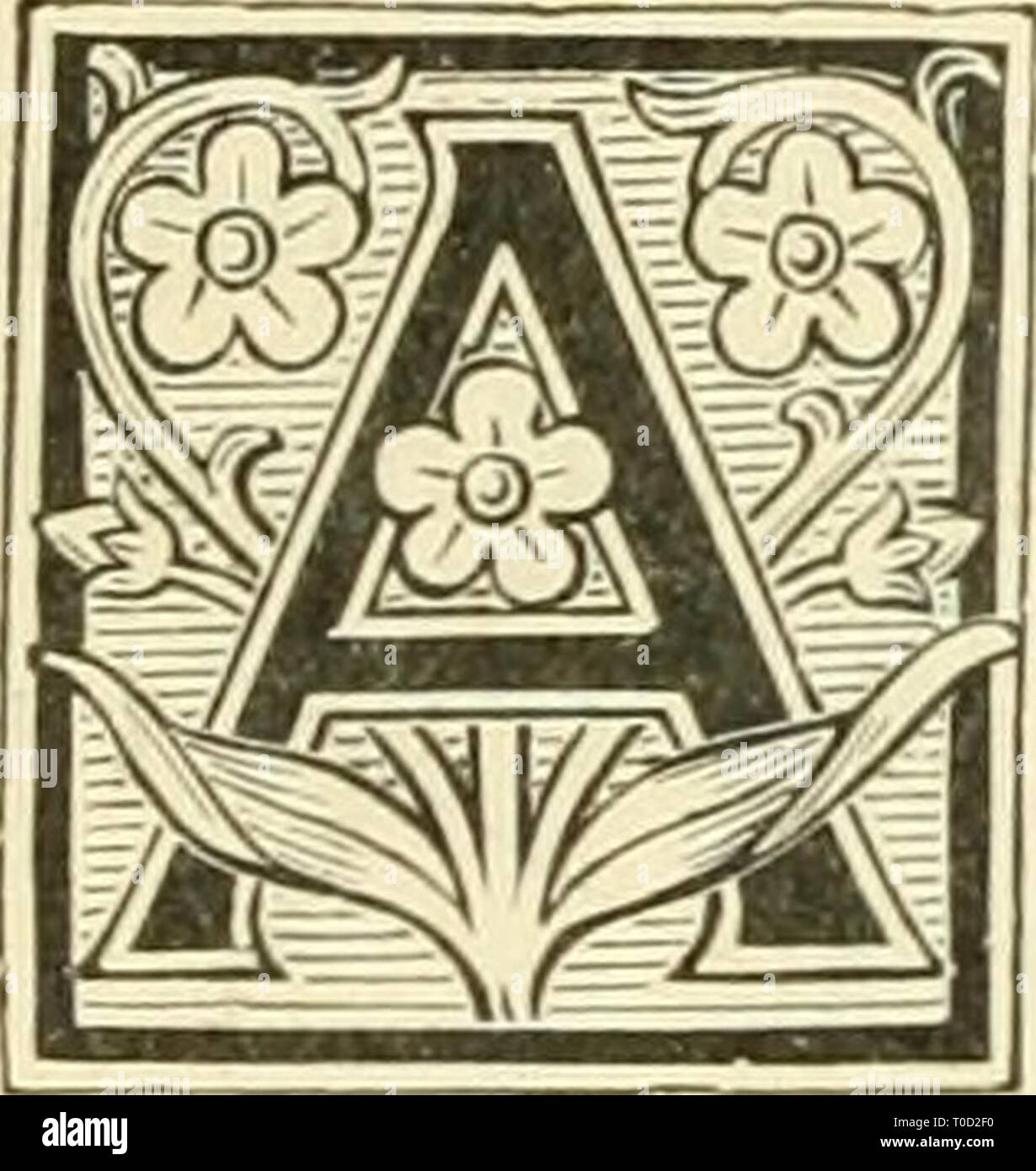 La terre et ses habitants de la terre et de ses habitants .. earthitsinhabita00recl Année : 1890 CHAPITRE YII. Mélanésie. mauvais les îles situées au nord-est de la Nouvelle-Guinée jusqu'à l'Équateur ont été déclarées possessions allemandes par le traité de partition avec la Grande-Bretagne. Vers l'ouest les eaux allemandes sont limitées par le méridien de l1n° de longitude est, mais vers l'Est, l'océan Pacifique est laissée ouverte pour de futures annexions. Jusqu'à 1885 la limite était indiqué par 154° de longitude est, mais cette limite a été effacé de l'année prochaine lorsque le nord-ouest de membres du groupe Salomon, Bougainville, Banque D'Images
