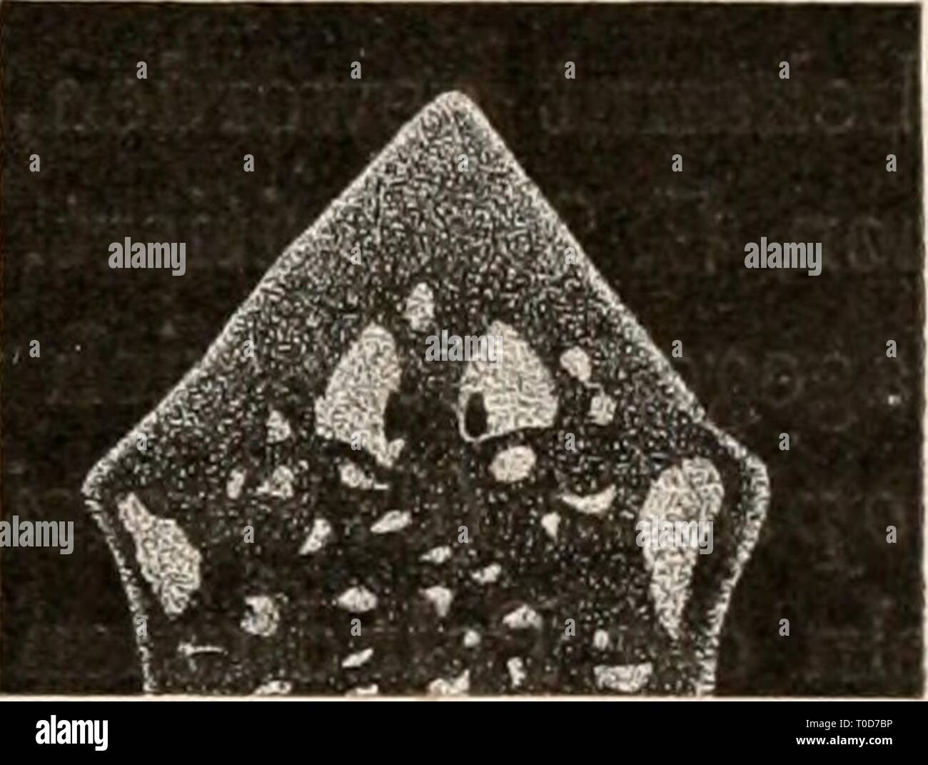 Kopfformen Banque D Image Et Photos Alamy