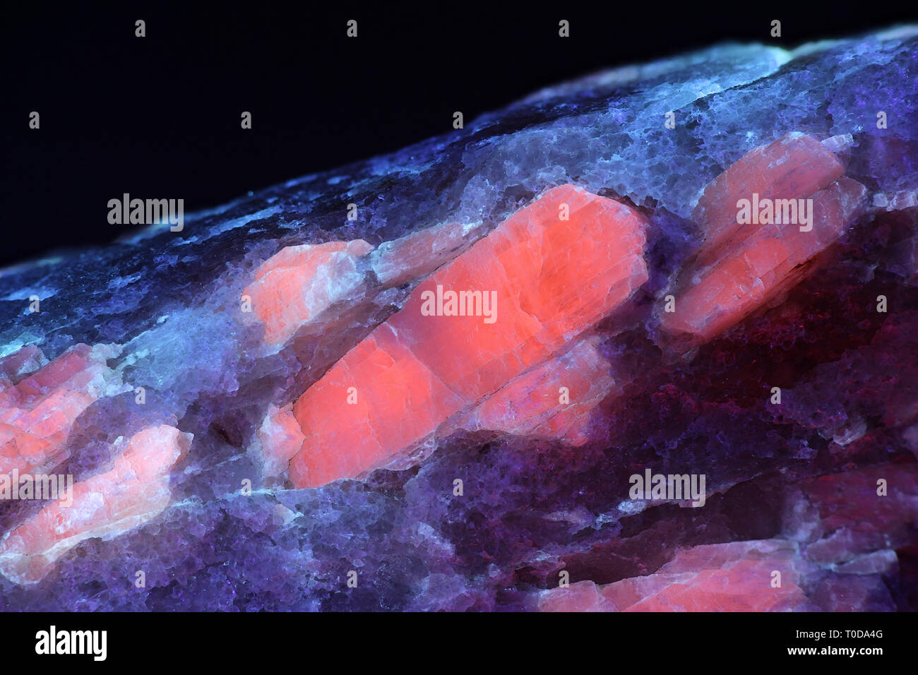 Les cristaux du minerai de lithium industriel majeur le spodumène montrant la fluorescence rouge dans la lumière ultraviolette (365 nm). À partir de l'échantillon dans la carrière de lithium Haapaluoma Banque D'Images