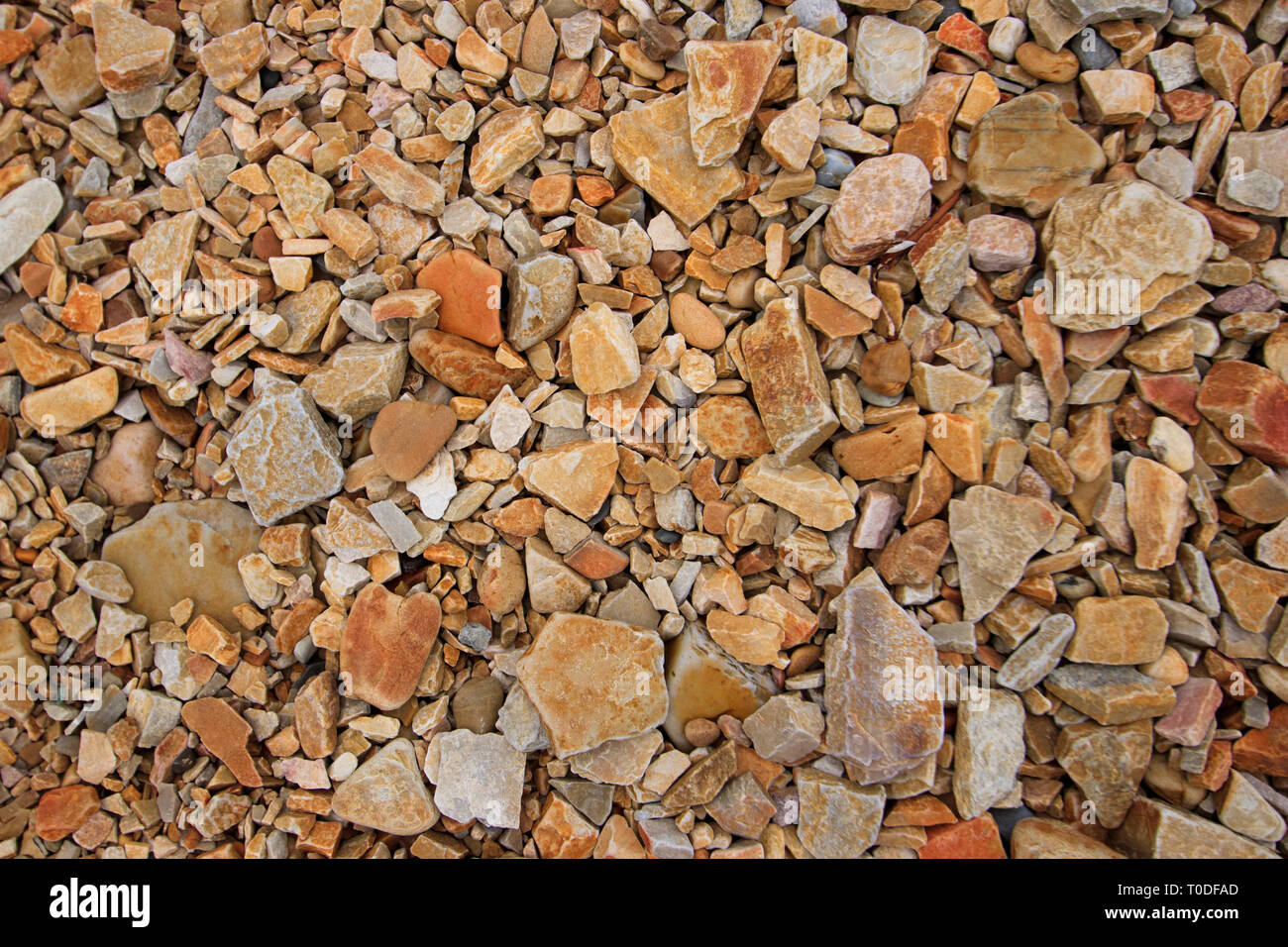 Plage de galets naturels de terre de fond avec variété de différentes tailles de pierres et rochers. Banque D'Images
