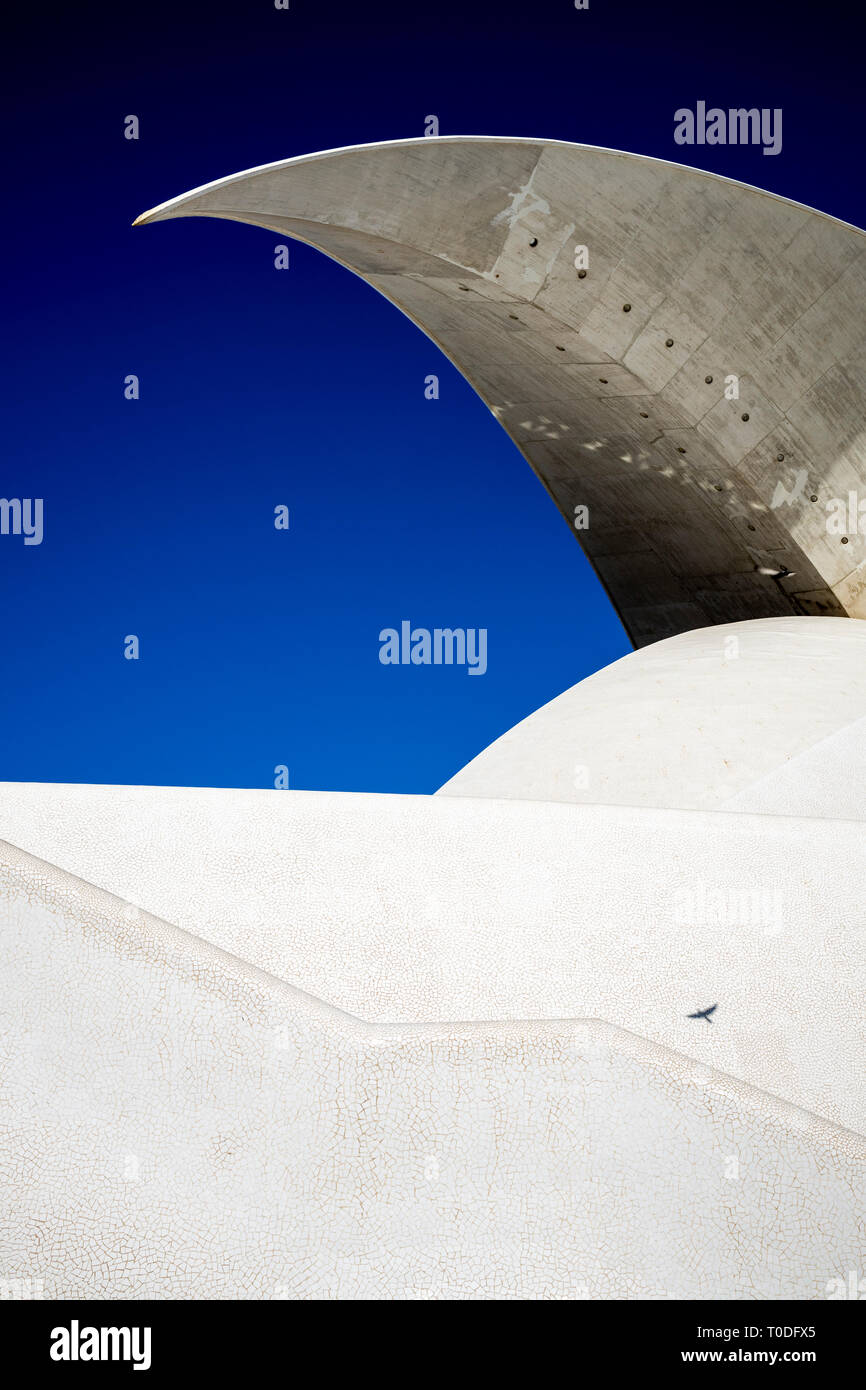 Abstract graphic détail du toit volant de l'Auditorio Adan Martin, Santa Cruz, Tenerife, Canaries, Espagne Banque D'Images