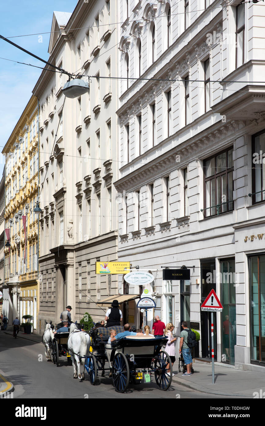 Wien, Österreich, 1 dans der Habsburgergasse Fiaker Banque D'Images