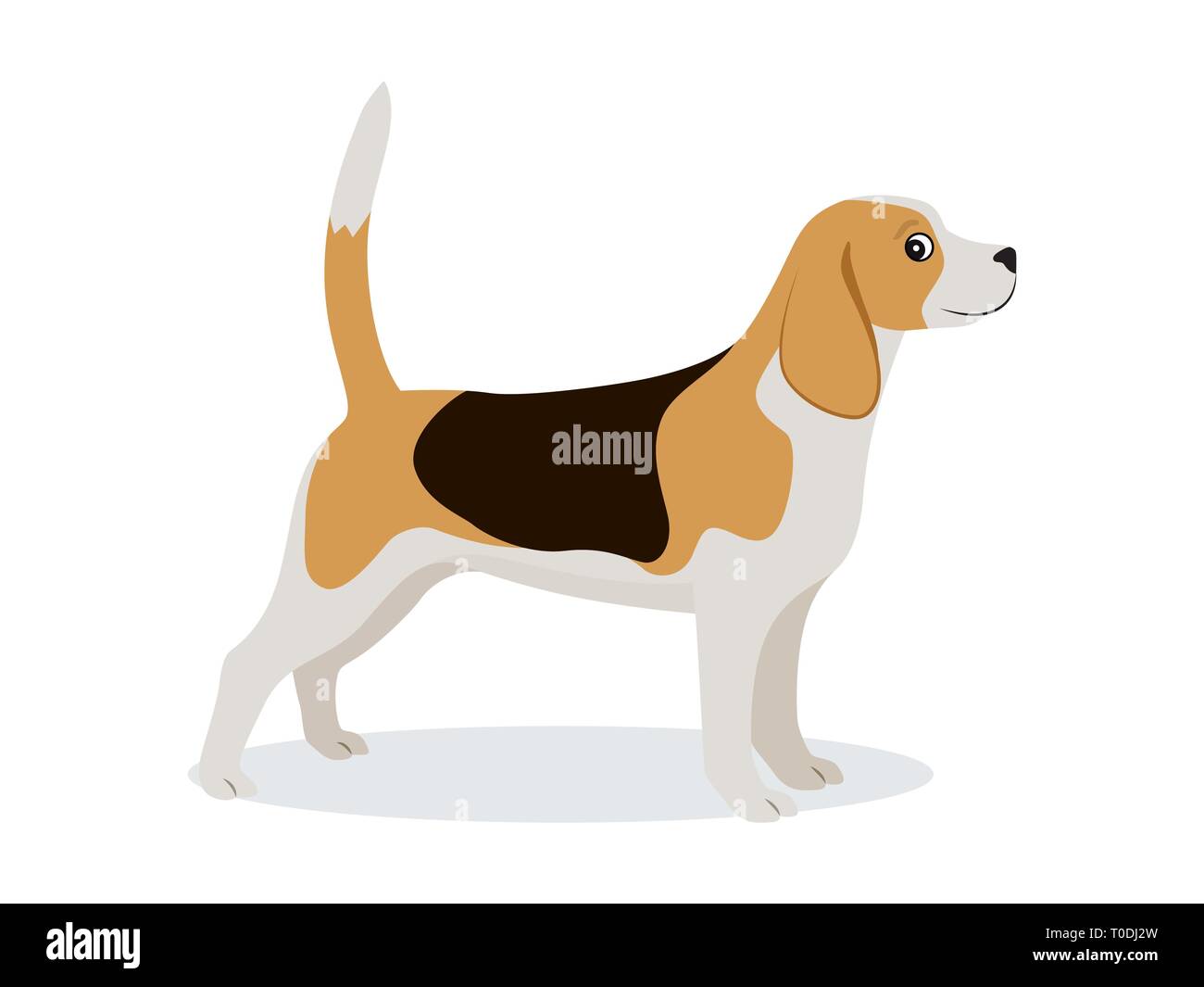 Beagle, icône mignon petit chien de chasse avec un pelage brun et blanc isolé, animal domestique, vector illustration Illustration de Vecteur
