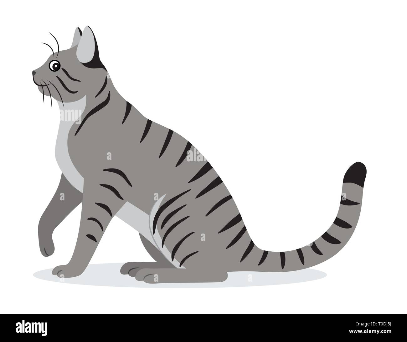 Enduit lisse chat tigré avec longue queue, l'icône gris mignon animal, animal domestique, vector illustration Illustration de Vecteur
