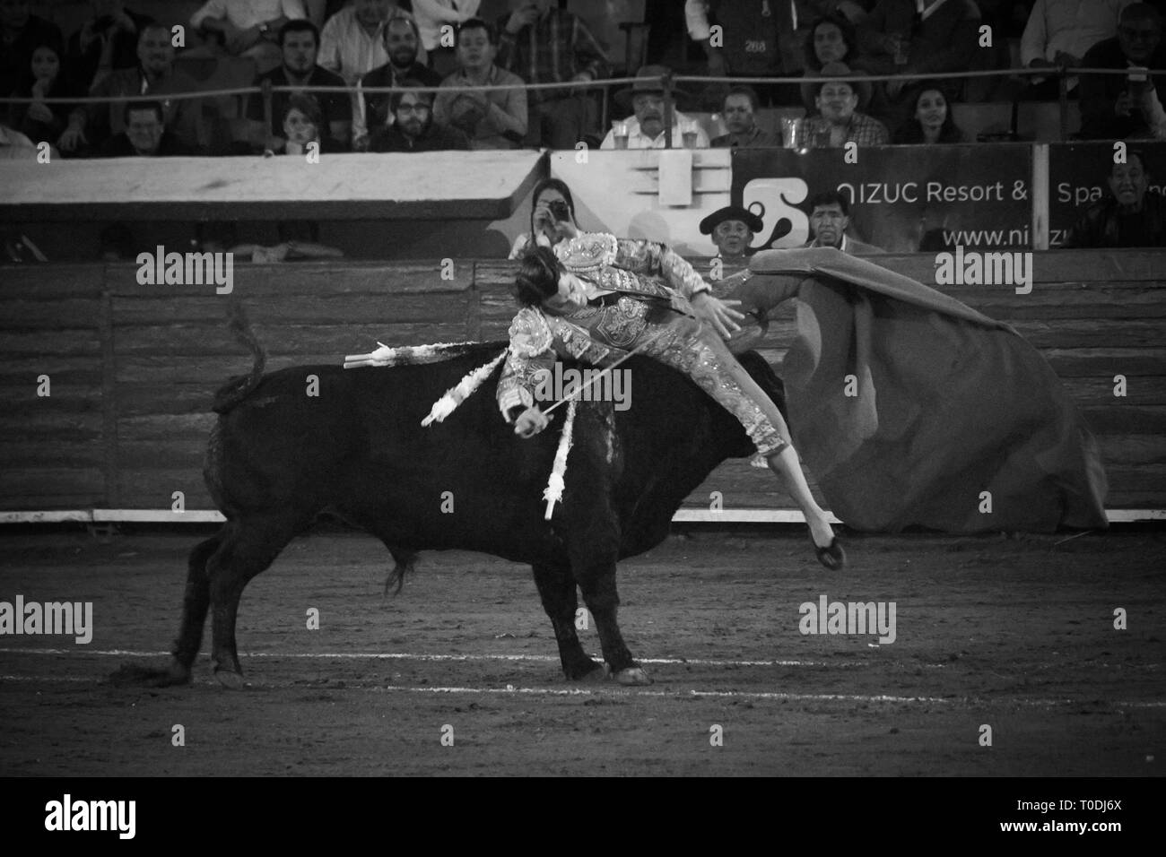 Torero Matador Manuel Escribano est décousu par le taureau. Banque D'Images