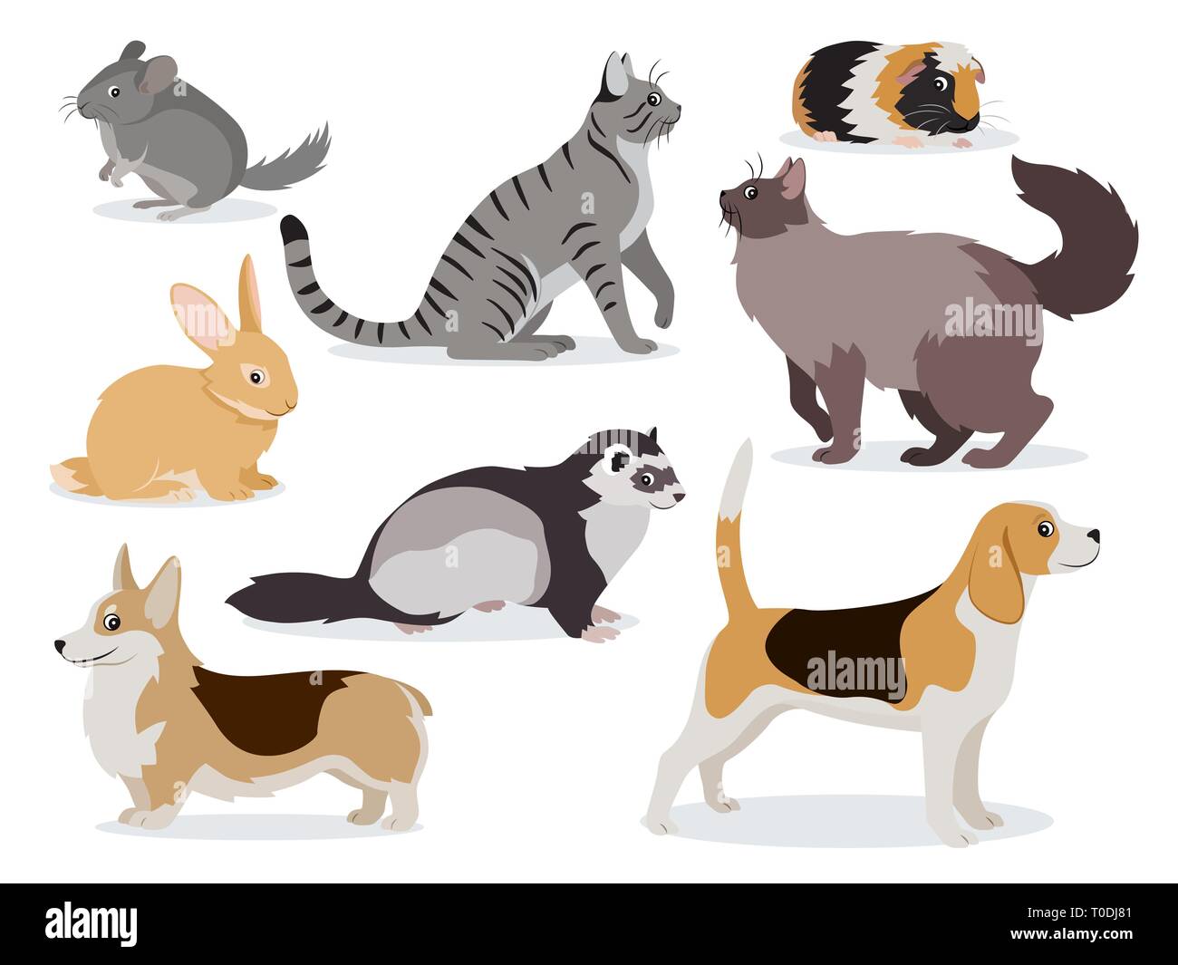 Icon Set animaux mignons, chinchilla, furet gris moelleux, lisse et couché chats à poil long domestique, Corgi, beagle, chiens, lapin, cobaye isolé Illustration de Vecteur