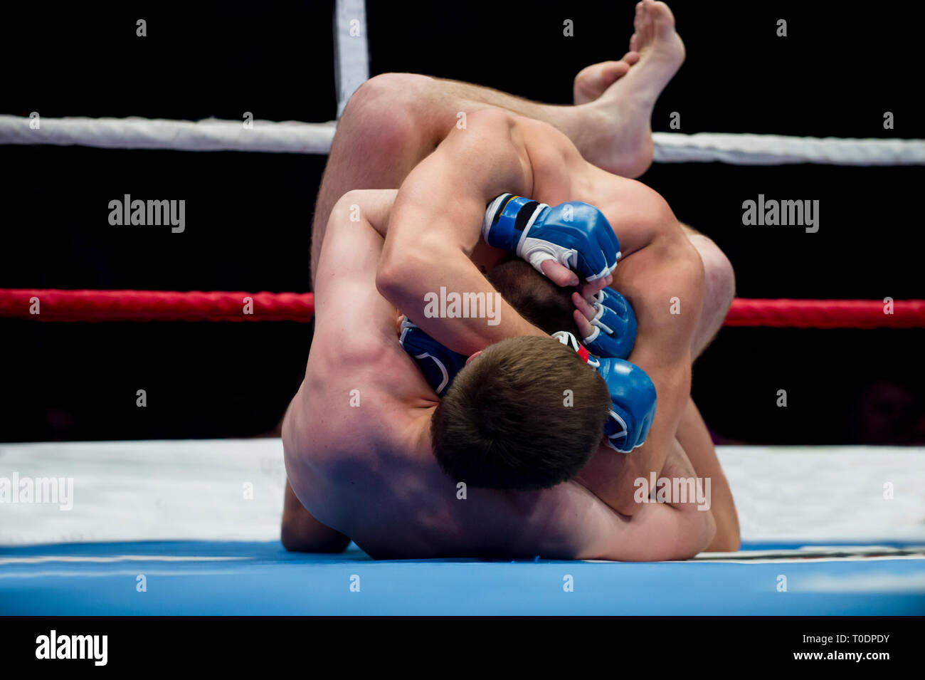 Combattants martiaux mixtes sur le terrain de l'aréna pendant la compétition. Deux combattants MMA lutte sur l'anneau de plancher Banque D'Images