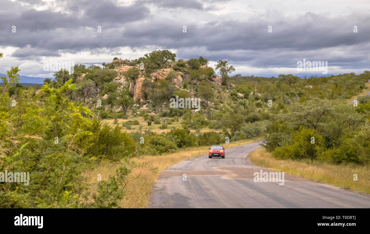 Location de petite voiture route pavée H3 dans le parc national Kruger en Afrique du Sud Banque D'Images Location de petite voiture route pavée H3 dans le parc national Kruger en Afrique du Sud Banque D'Images
