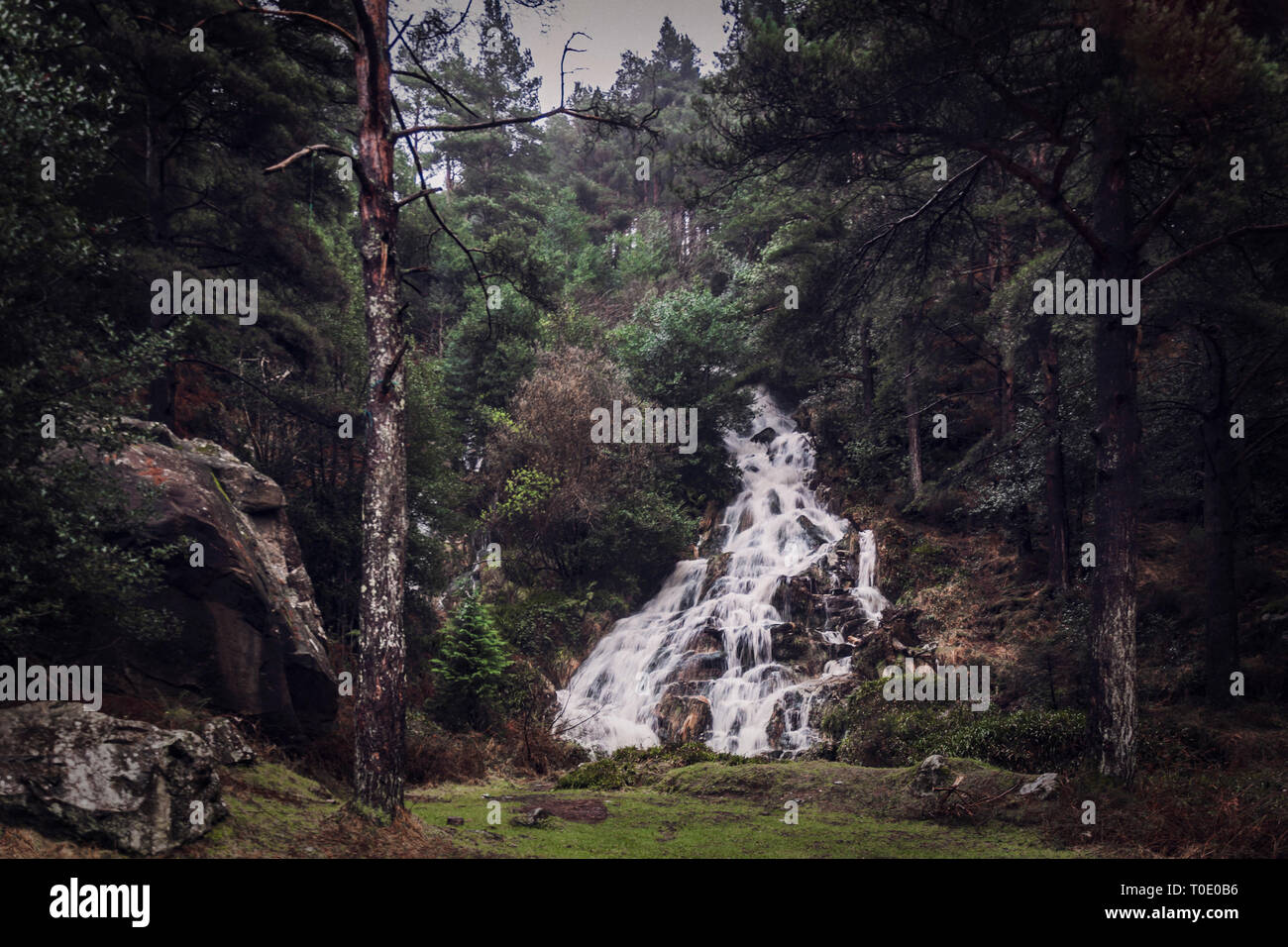 Glenmalure chute dans un jour brumeux, les montagnes de Wicklow, Irlande. Glenmalure est lointain et sauvage vallée glaciaire, la plus longue dans l'Irlande et la Grande-Bretagne. Banque D'Images