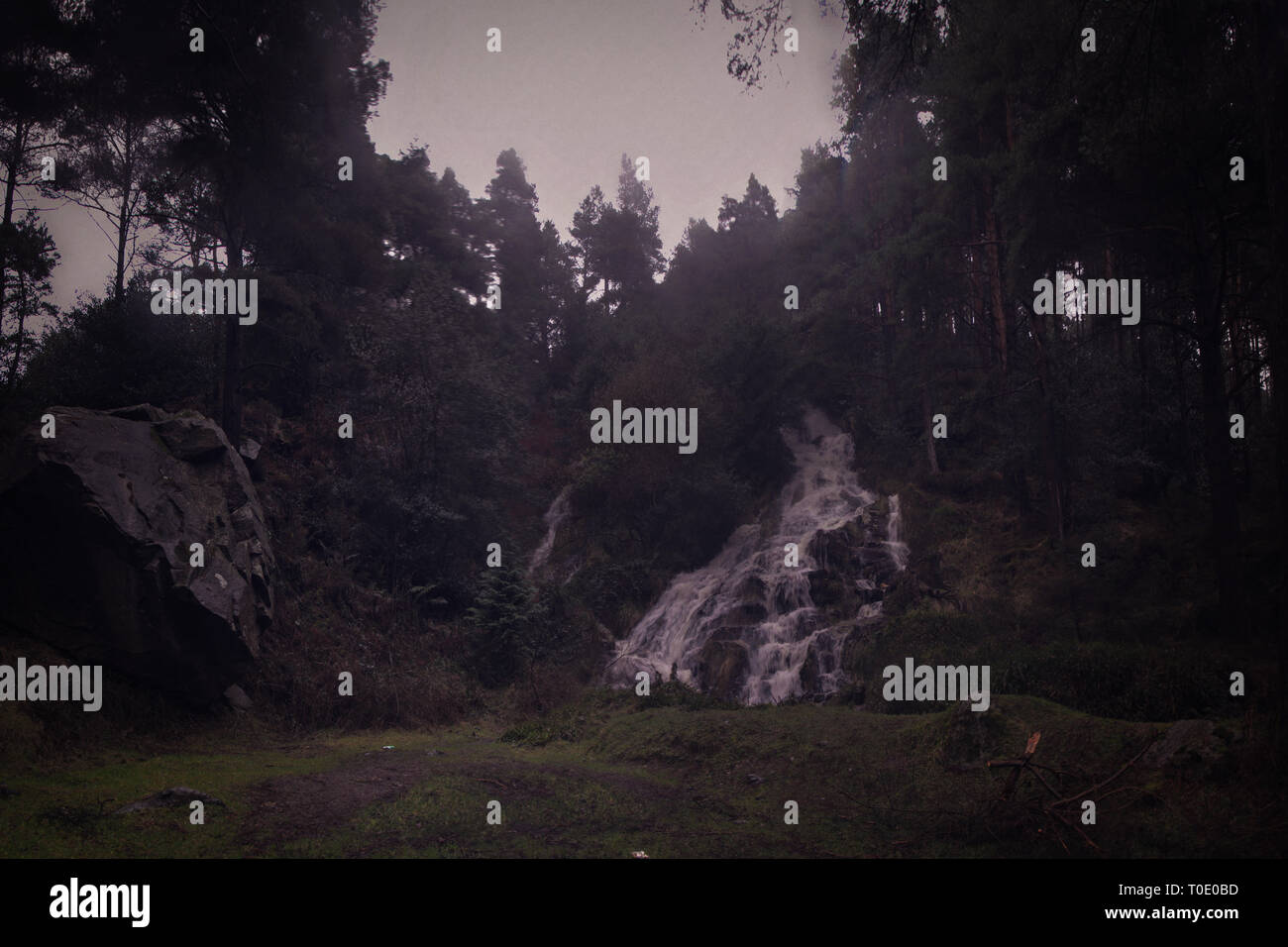Glenmalure chute dans un jour brumeux, les montagnes de Wicklow, Irlande. Glenmalure est lointain et sauvage vallée glaciaire, la plus longue dans l'Irlande et la Grande-Bretagne. Banque D'Images