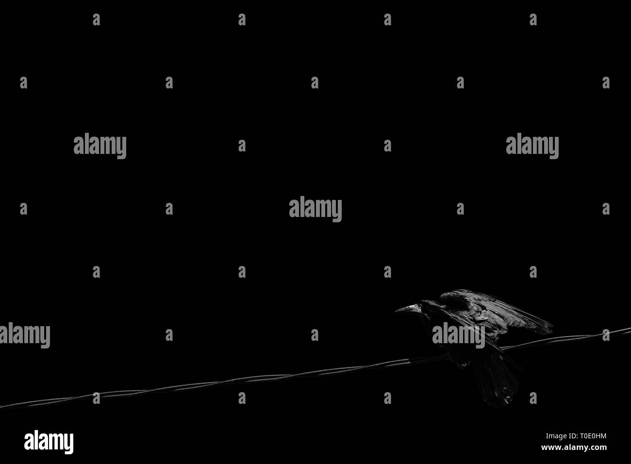 La vie quotidienne en milieu urbain. Tour prêt à voler du fil électrique dans le village. Banque D'Images