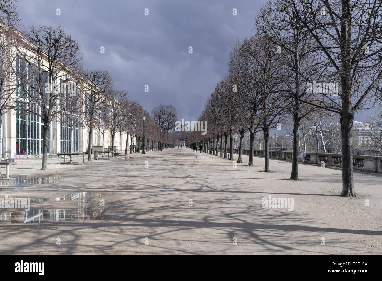 Jardin des Tuileries à Paris Banque D'Images