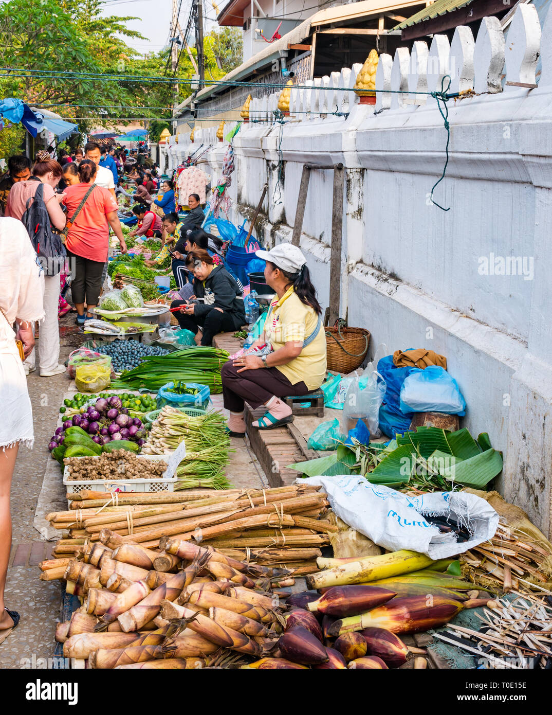 Les femmes vendant des légumes, et pousse de bambou cannes de bambou, matin marché alimentaire de la rue, Luang Prabang, Laos, Asie Banque D'Images
