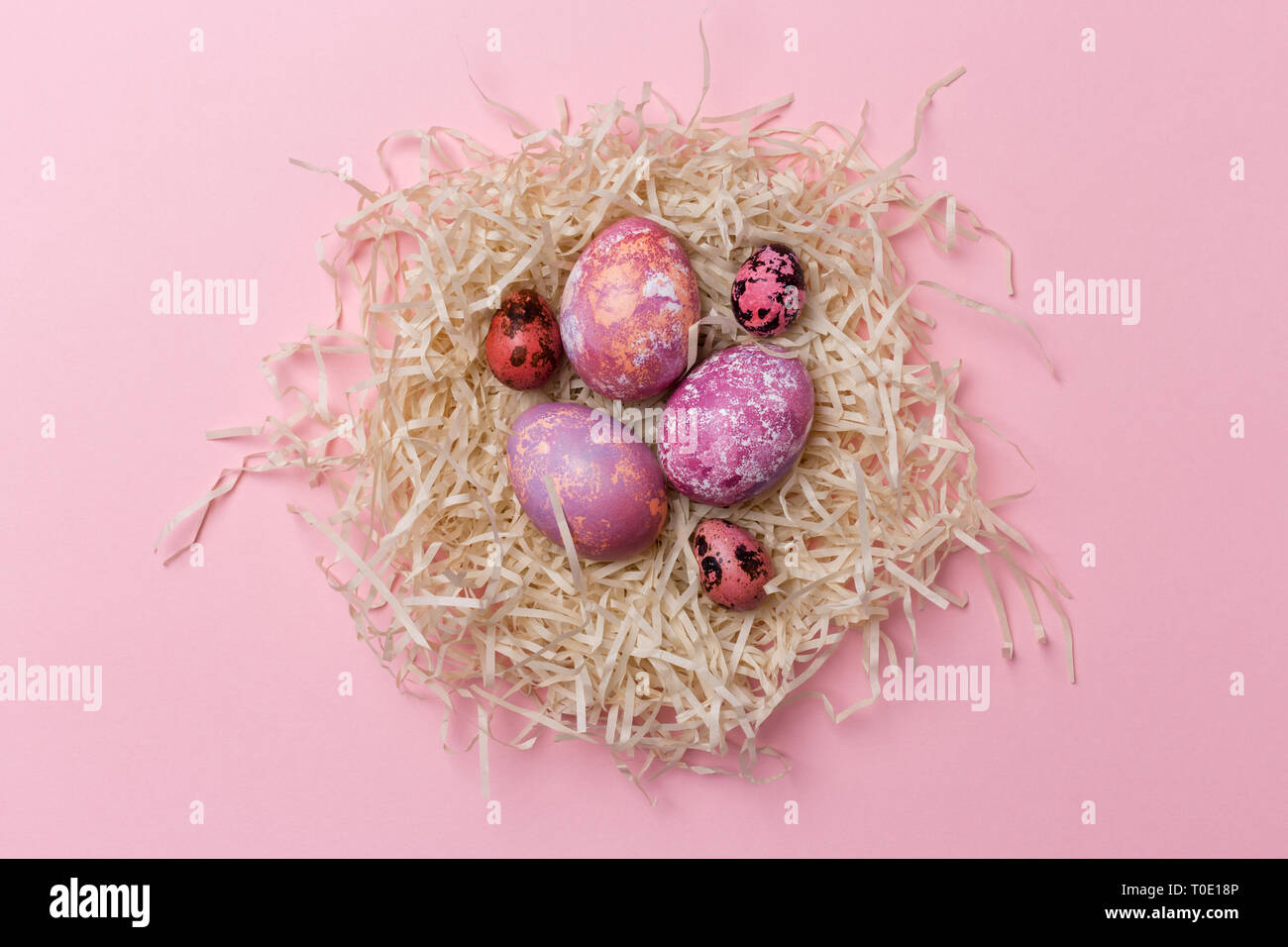 Les oeufs de poule de Pâques rose et des oeufs de cailles au nid sur fond rose. Notion de contexte, de mise à plat de Pâques Banque D'Images Les oeufs de poule de Pâques rose et des oeufs de cailles au nid sur fond rose. Notion de contexte, de mise à plat de Pâques Banque D'Images