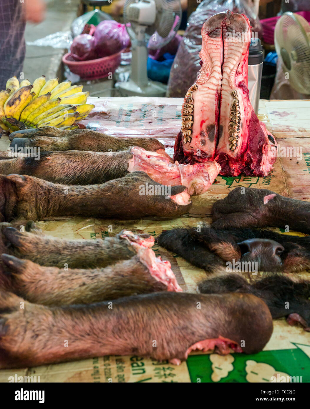 Pièces détachées de Buffalo des animaux exposés à la vente à l'échoppe de marché de la viande, les jambes, les sabots, la queue, le museau et la mâchoire, jour de marché Phosy, Luang Prabang, Laos, Asie Banque D'Images