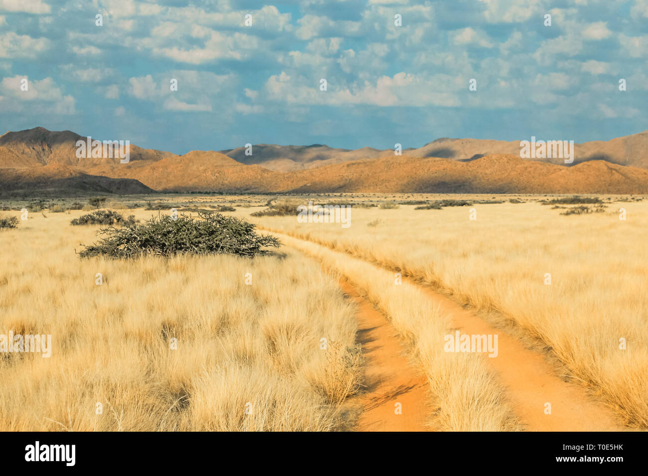 Route de terre dans un paysage désert au coucher du soleil. Solitaire, la Namibie, l'Afrique. . Banque D'Images