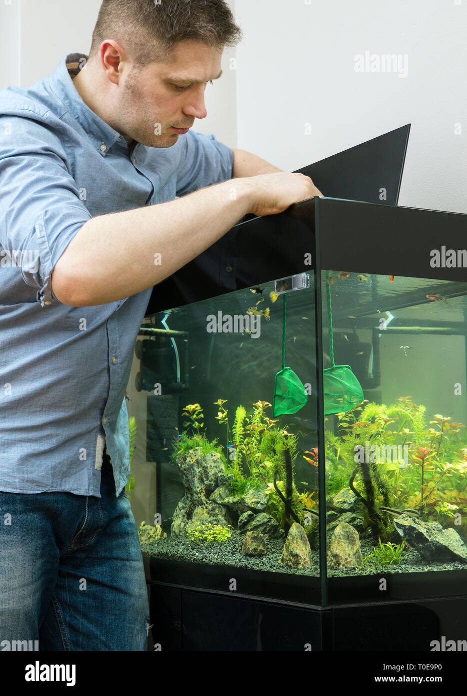Bel homme attraper les poissons dans l'aquarium Photo Stock - Alamy