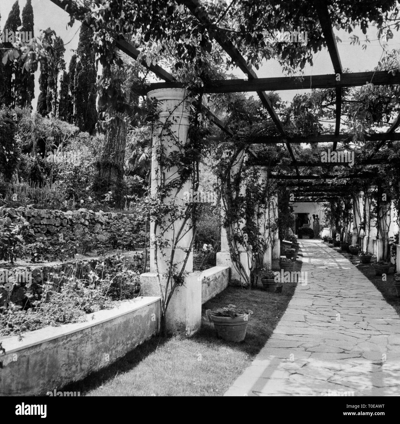 L'Italie, Campanie, l'île de Capri, vue sur le jardin de la villa san michela à Anacapri, 1968 Banque D'Images