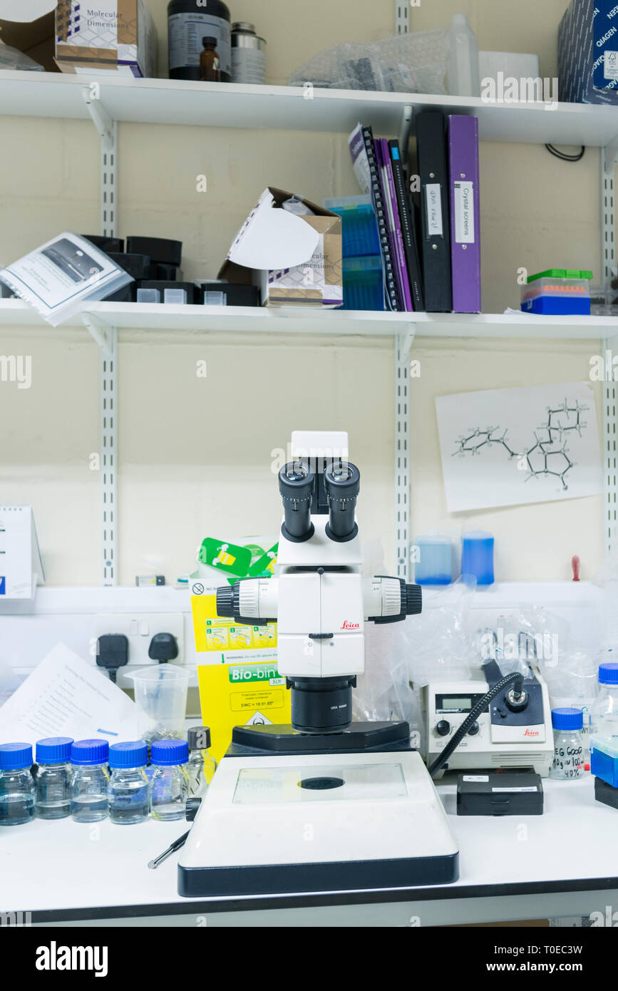 Plus de détails scientifiques autour d'un laboratoire de recherche médicale à l'Université de Sussex Banque D'Images