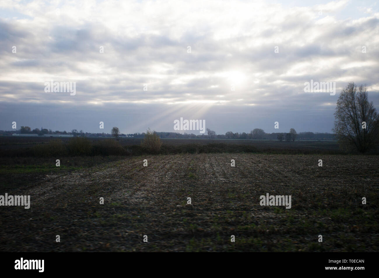 La scène de l'une des batailles les plus sanglantes de la première guerre mondiale, et ce l'endroit où il a eu lieu en. La bataille de la somme Banque D'Images