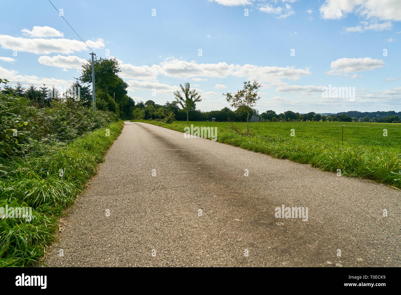 Empty country road à côté de prairie en été en face d'un ciel bleu avec des nuages blancs Banque D'Images