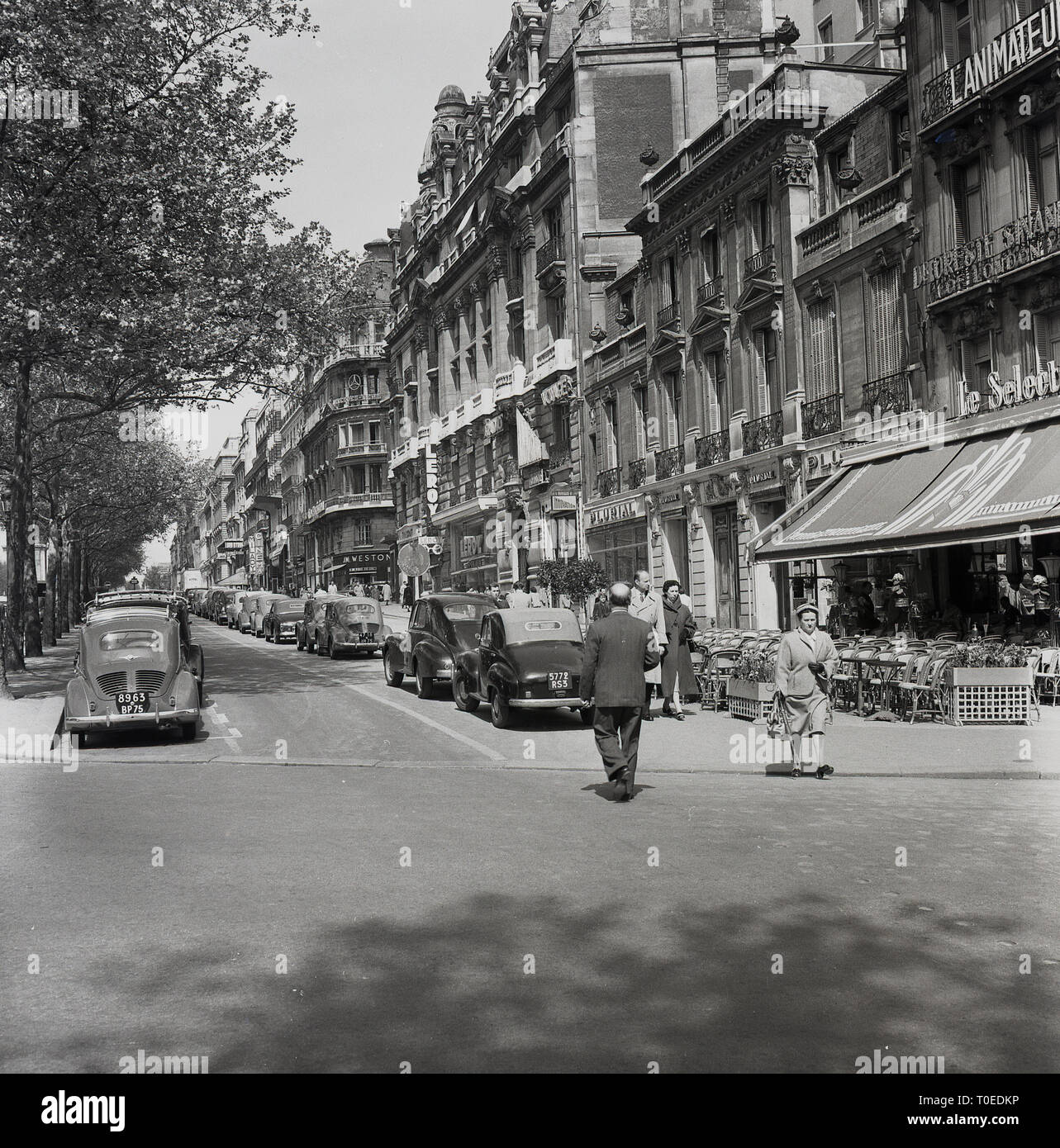 Années 1950, bordée d'arbres route à côté de l'Avenue des Champs-Elysées, Paris, France, avec des voitures de l'époque garés devant les cafés et les boutiques qui bordent ce célèbre monument parisien. Banque D'Images