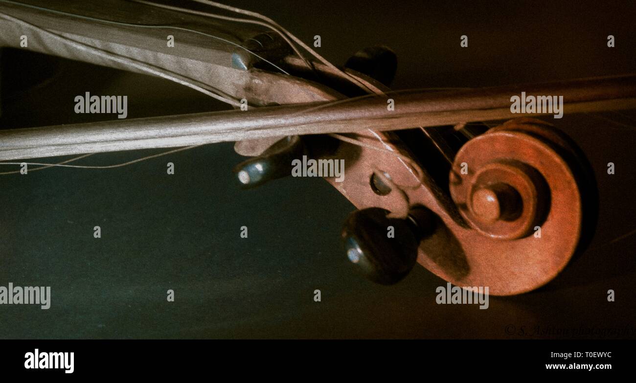 Violon ancien Banque D'Images