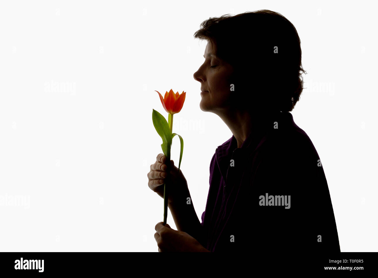 Silhouette femme et tulip in studio Banque D'Images