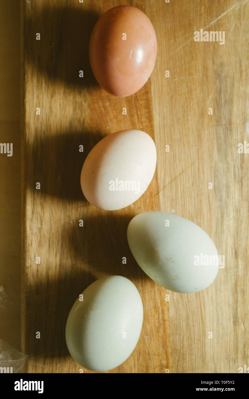 Natural green egg, olive Egger, oeuf blanc et marron, Banque D'Images