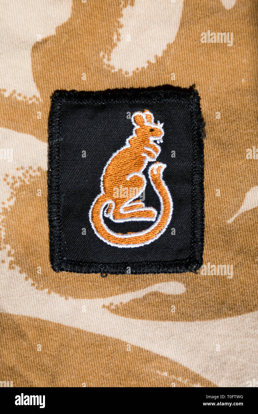 1990 écusson « rats desert » de la 7e Brigade blindée de la guerre du Golfe sur le motif camouflage du désert Banque D'Images