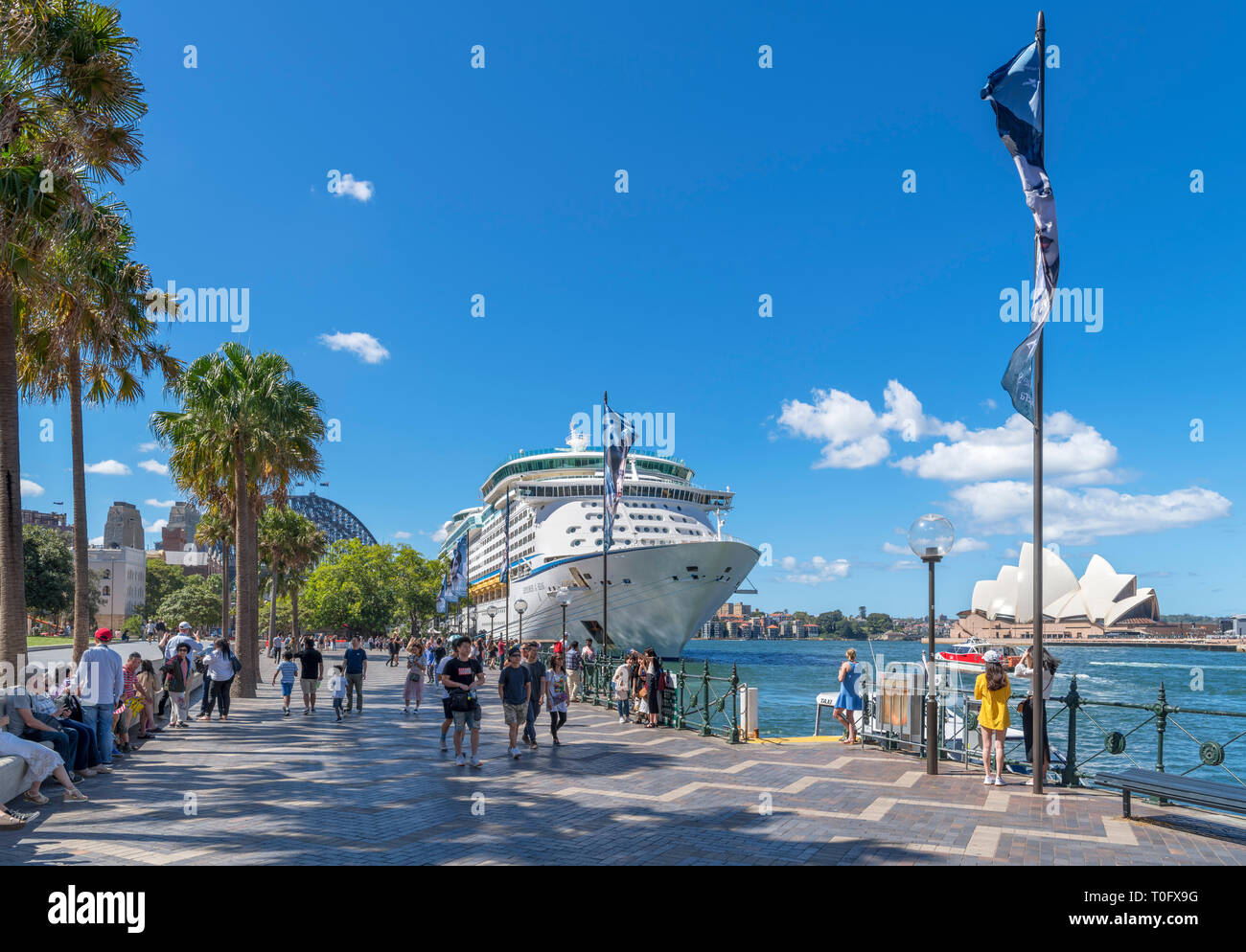 Circular Quay, Sydney. Explorer of the Seas bateau de croisière avec Sydney Harbour Bridge à l'Opéra de Sydney et de gauche à droite, Sydney, Australie Banque D'Images