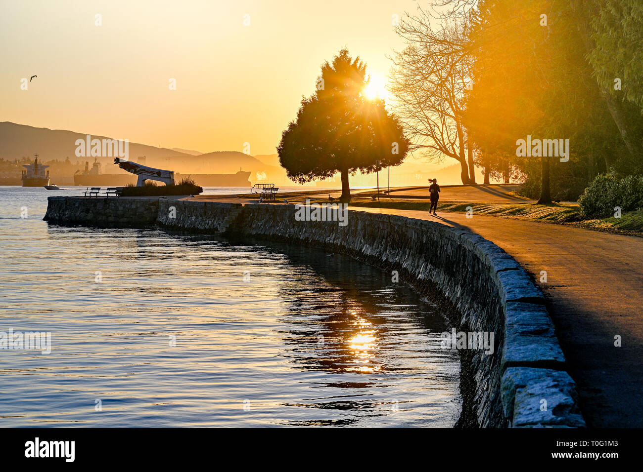 Jogger, sunrise, digue, le parc Stanley, Vancouver, Colombie-Britannique, Canada. Banque D'Images