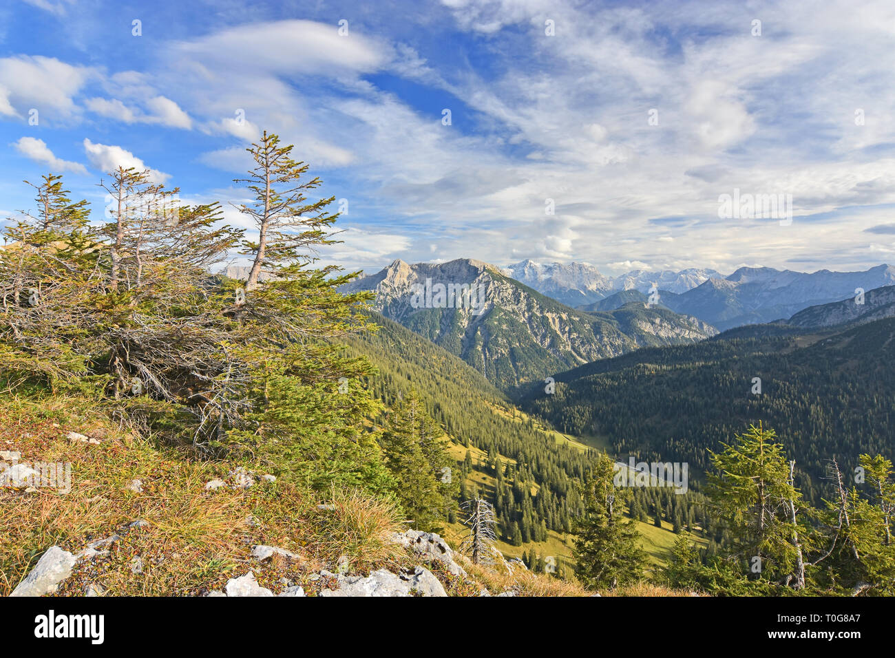 Beau paysage alpin avec montagnes rocheuses, l'herbe et la forêt dans les Alpes (Bavière, Allemagne). Ciel bleu avec des nuages. Banque D'Images