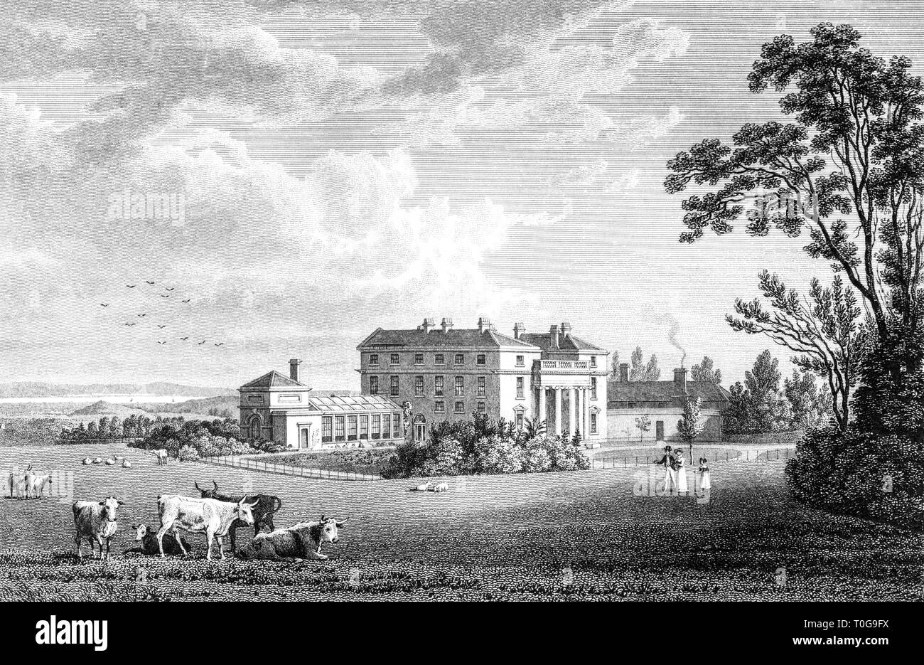 Une gravure de la crête, le siège d'Edward Sheppard, Wotton under Edge, Gloucestershire UK numérisées à haute résolution à partir d'un livre publié en 1825 Banque D'Images