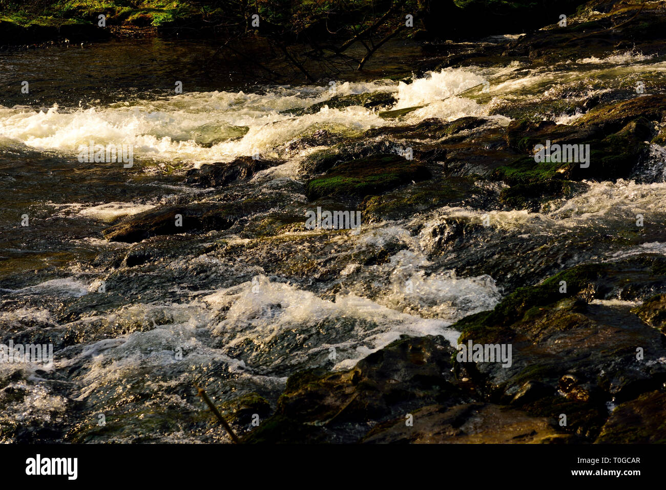 Un déversoir de rochers le long d'une rivière qui coule. Banque D'Images