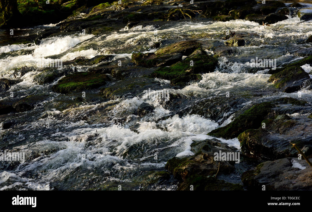 Un déversoir de rochers le long d'une rivière qui coule. Banque D'Images